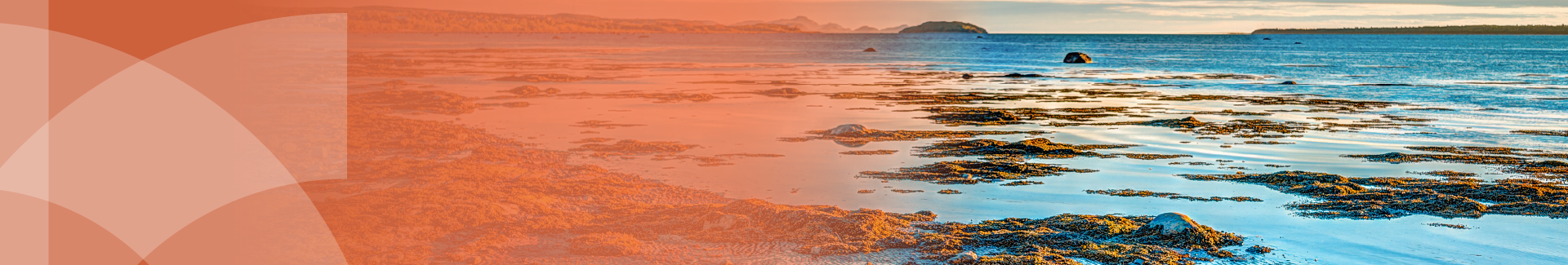 Region Image