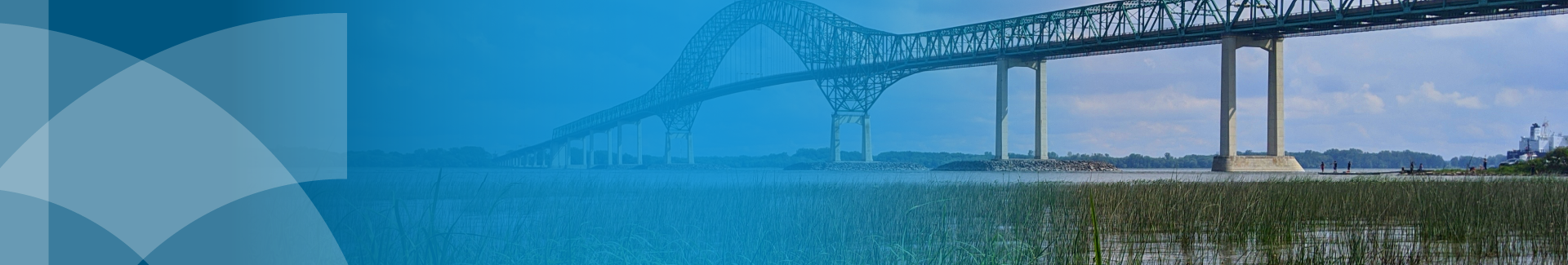 Region Image