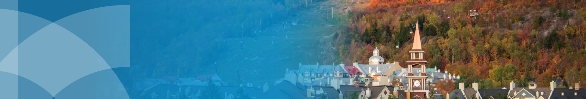 Region Image