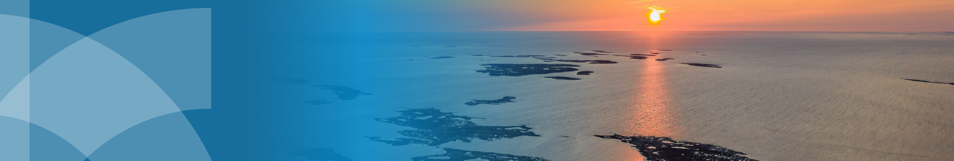 Region Image