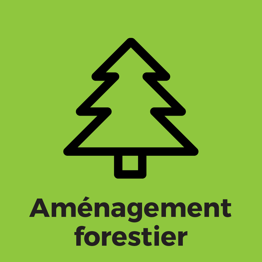 Am.Forestier